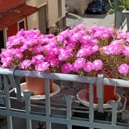 La Casuzza Di Tindaro Apartament *