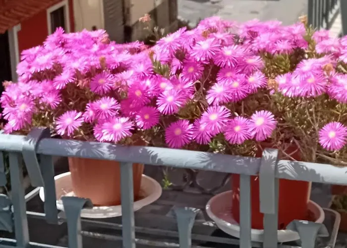 La Casuzza Di Tindaro Appartement *